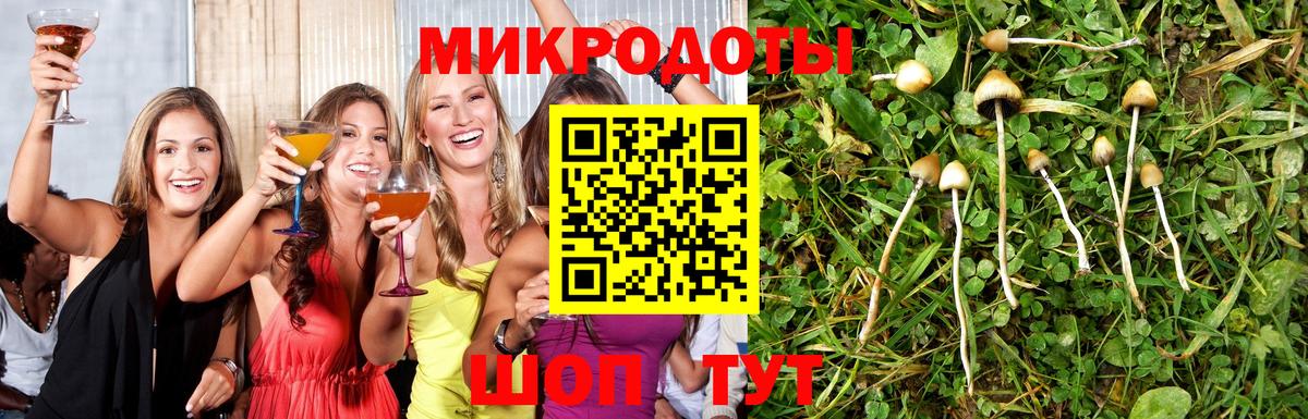 Псилоцибиновые грибы Psilocybe Ханты-Мансийск
